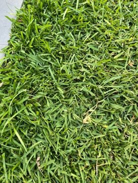 IMG_2400.JPEG IMG_2400.JPEG