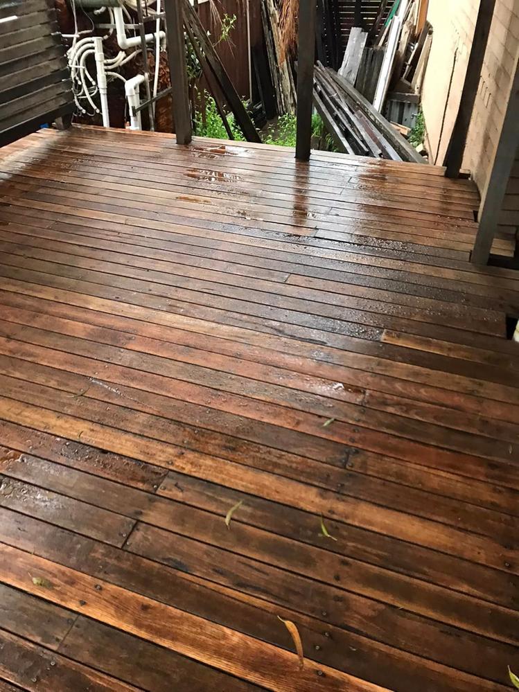 06 02-12-2023.jpg 06 02-12-2023.jpg