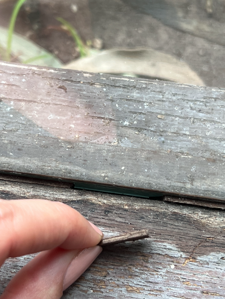 Screenshot 2024-09-23 at 11.59.45 AM.png Screenshot 2024-09-23 at 11.59.45 AM.png