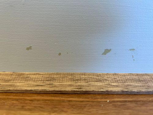 IMG_4426.jpeg IMG_4426.jpeg