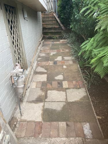 IMG_6789.jpeg IMG_6789.jpeg