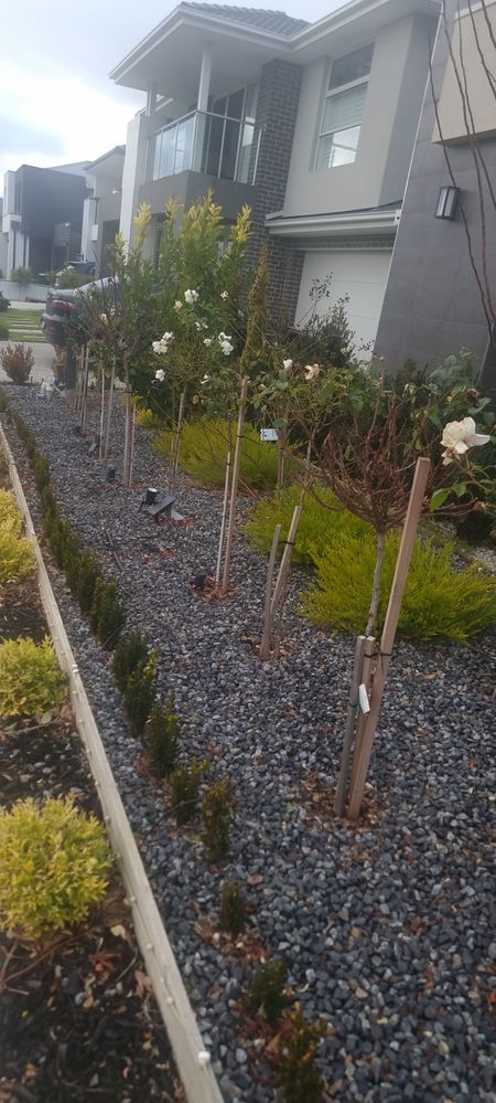 20250627_083110.jpg 20250627_083110.jpg