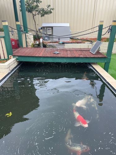 JPEG image.jpeg JPEG image.jpeg