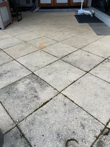 IMG_3570.jpeg IMG_3570.jpeg