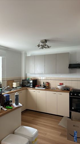 IMG_4316.jpeg IMG_4316.jpeg