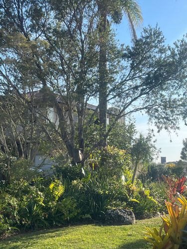 IMG_9375.jpeg IMG_9375.jpeg