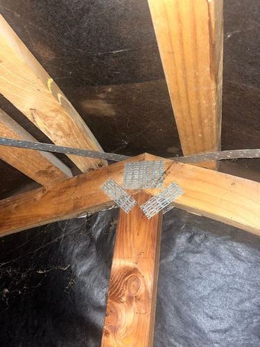 IMG_9353.jpeg IMG_9353.jpeg