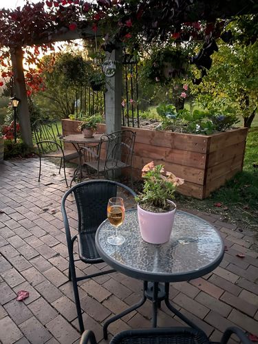 F56FB3E6-70F5-46B0-A835-F9C2C15E4BF6.jpeg F56FB3E6-70F5-46B0-A835-F9C2C15E4BF6.jpeg