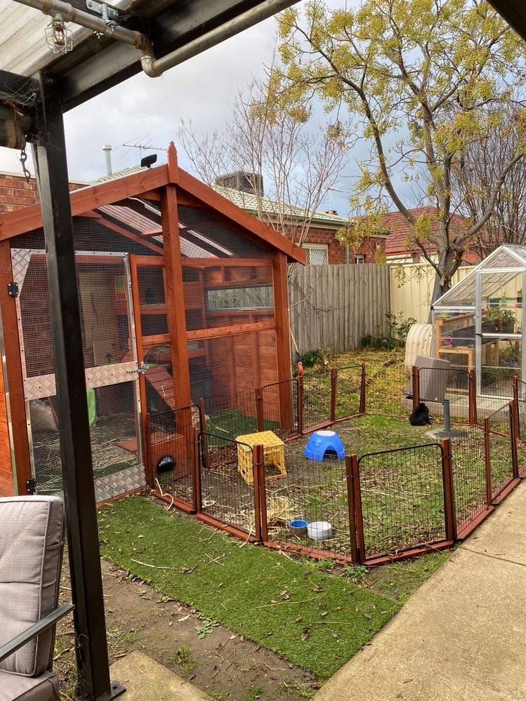 IMG-0362 (2).jpg IMG-0362 (2).jpg