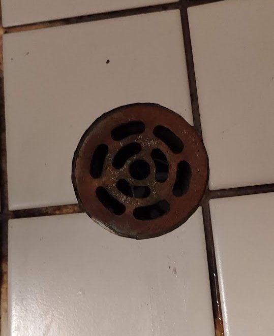 drain grate IMG_20240809_230851.jpg drain grate IMG_20240809_230851.jpg