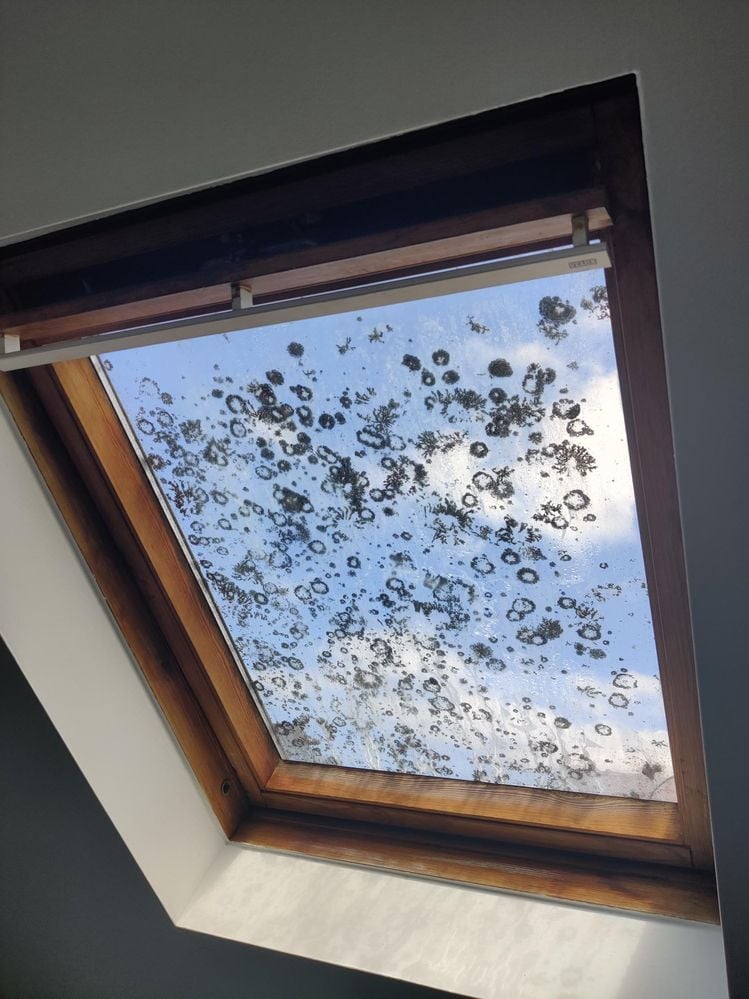 IMG_20230110_140920.jpg IMG_20230110_140920.jpg