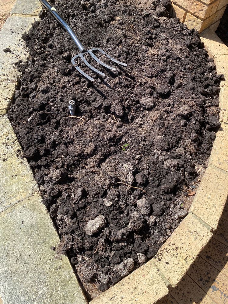 IMG_0828.jpeg IMG_0828.jpeg