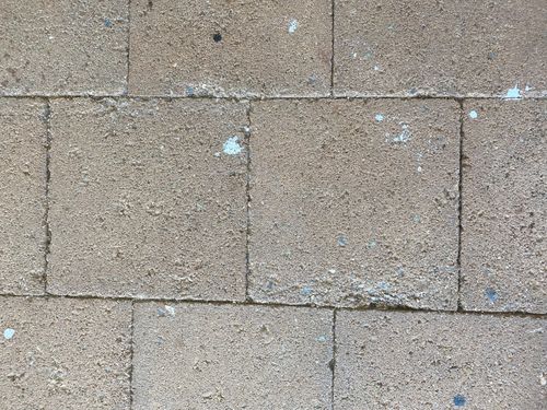 CEC7EF75-0A83-476A-BBFF-D6487570F488.jpeg CEC7EF75-0A83-476A-BBFF-D6487570F488.jpeg