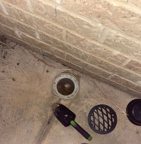 IMG_5558.jpeg IMG_5558.jpeg