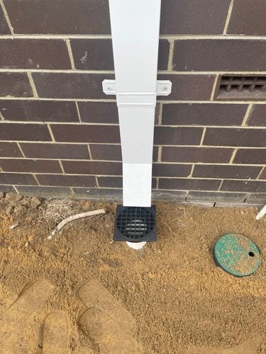 IMG_7960.jpeg IMG_7960.jpeg