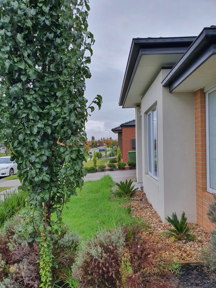 WhatsApp Image 2021-06-09 at 12.39.54 PM.jpeg WhatsApp Image 2021-06-09 at 12.39.54 PM.jpeg