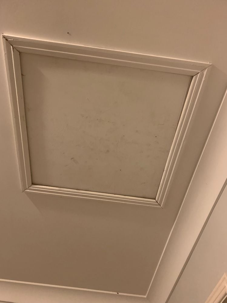 IMG_3984.jpeg IMG_3984.jpeg