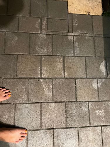 IMG_8766.jpeg IMG_8766.jpeg