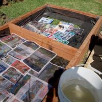 8. Use paper to supress grass and weeds.jpg 8. Use paper to supress grass and weeds.jpg