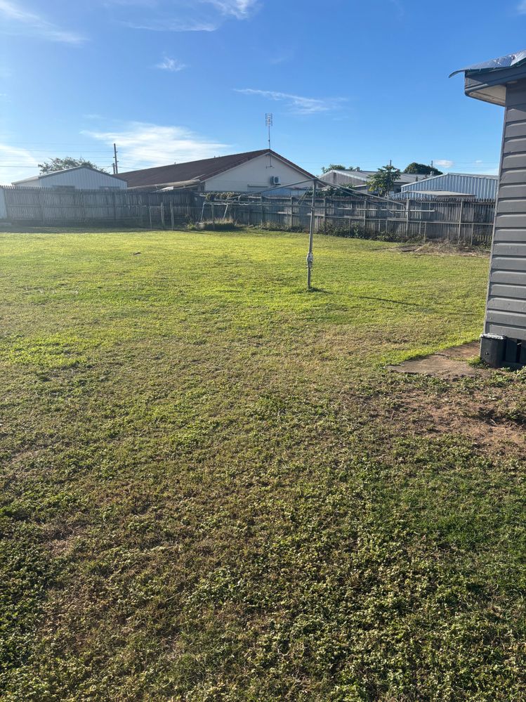 IMG_6894.jpeg IMG_6894.jpeg