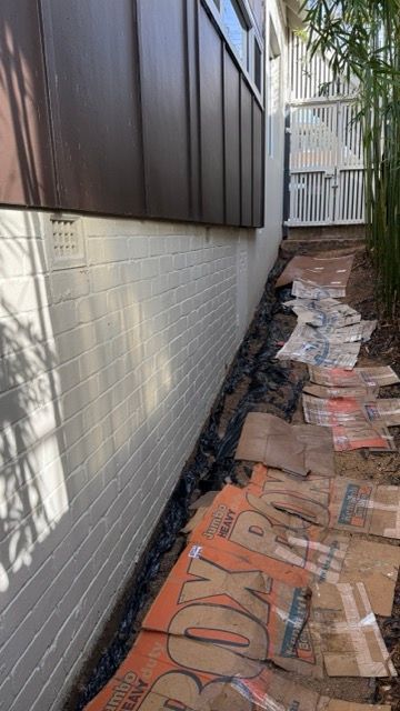 A-IMG_7658 Medium.jpeg A-IMG_7658 Medium.jpeg