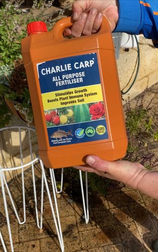 EAC87885-9384-4912-9E7A-9F76008805C5.jpeg EAC87885-9384-4912-9E7A-9F76008805C5.jpeg