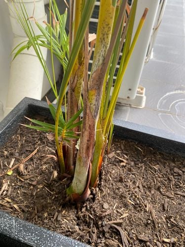 DE94B296-4F6B-418E-800D-682AEB5C3A18.jpeg DE94B296-4F6B-418E-800D-682AEB5C3A18.jpeg