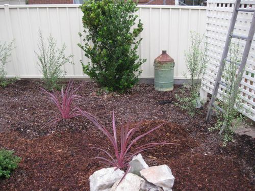 Milk Churn & Timber Ladder IMG_2807.JPG