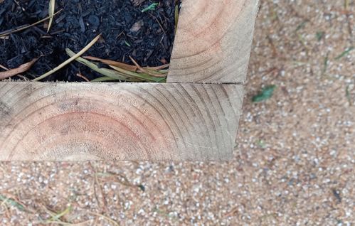 Step_3.jpg Step_3.jpg