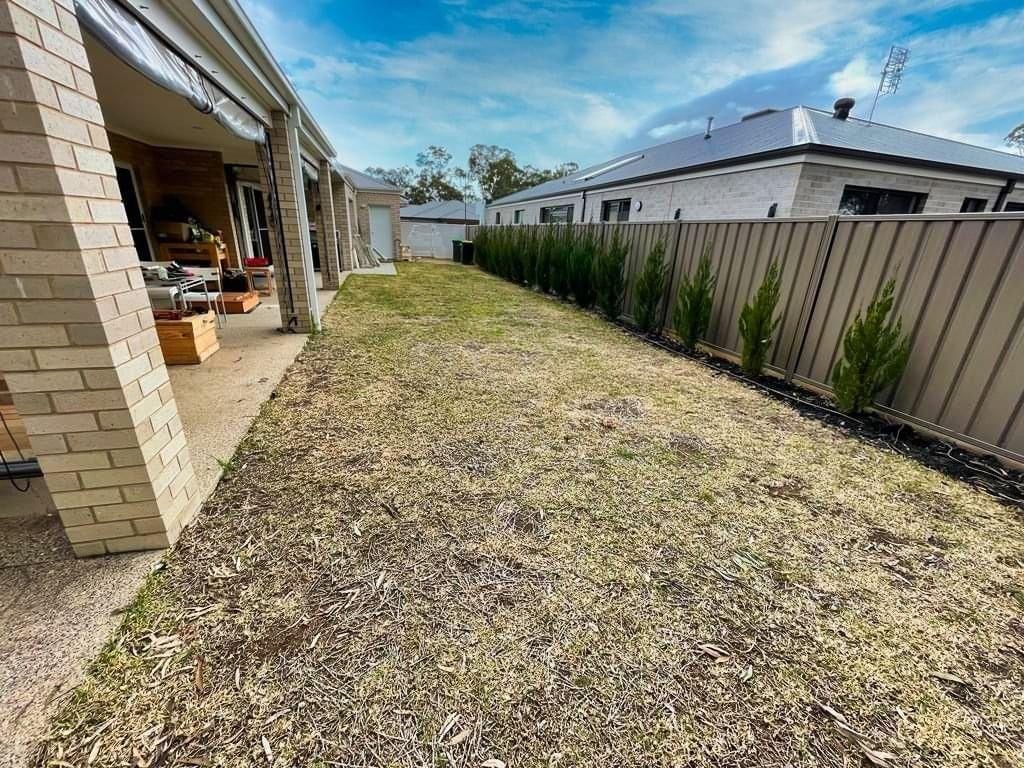 bare-grass-in-side-yard.jpeg bare-grass-in-side-yard.jpeg