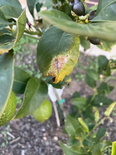 IMG_8613.jpeg IMG_8613.jpeg