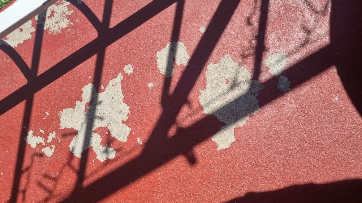 0446ca03-8e73-42c7-89f1-37e1291c6f08.jfif 0446ca03-8e73-42c7-89f1-37e1291c6f08.jfif