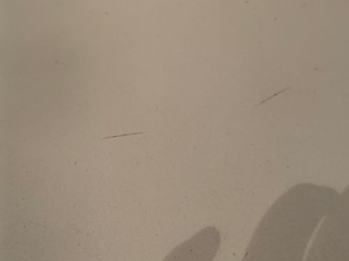 108BB473-73AE-425B-B3C3-67CD76DC7114.jpeg 108BB473-73AE-425B-B3C3-67CD76DC7114.jpeg