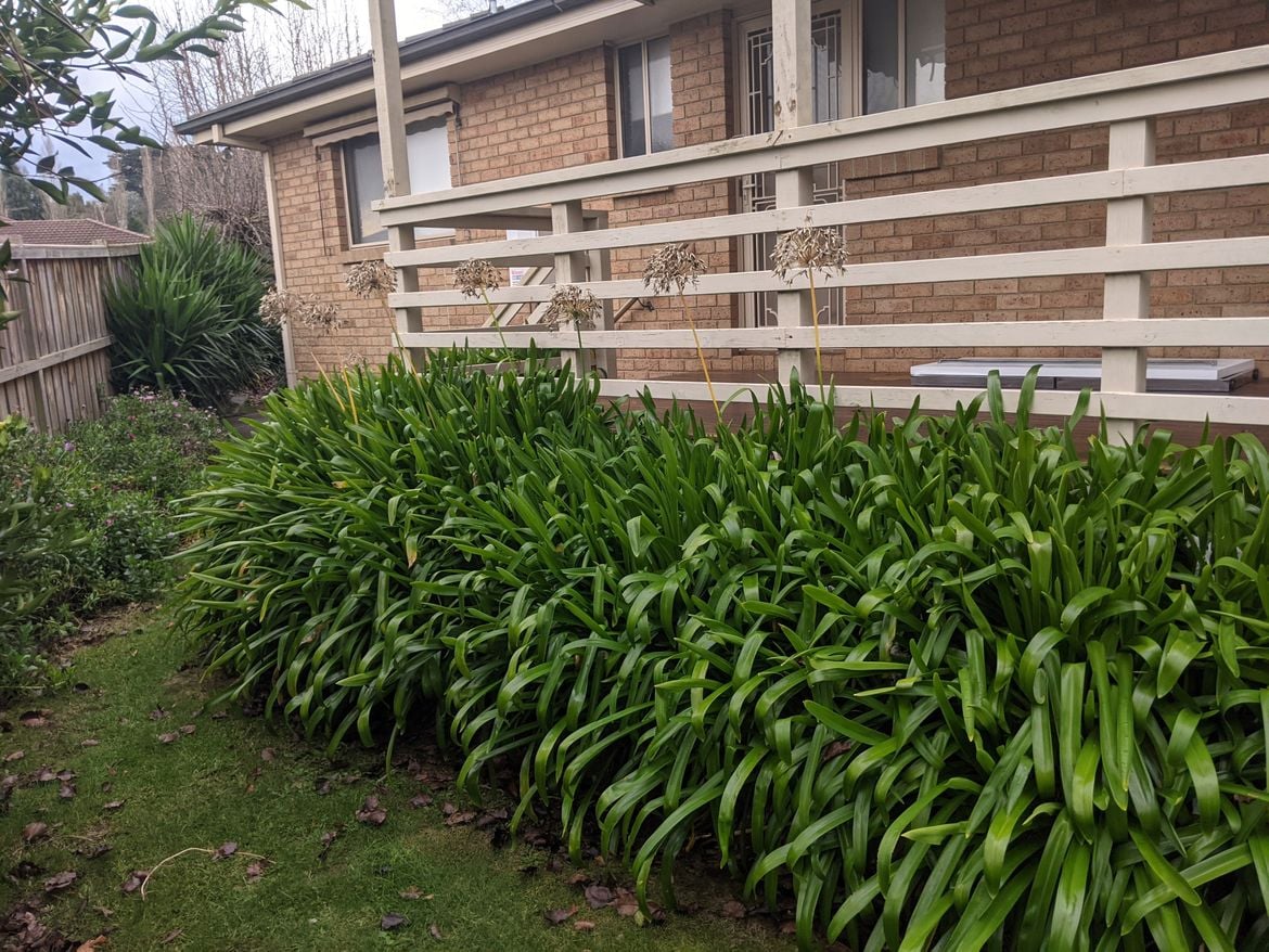 2021 AGP Photo 1.jpg 2021 AGP Photo 1.jpg