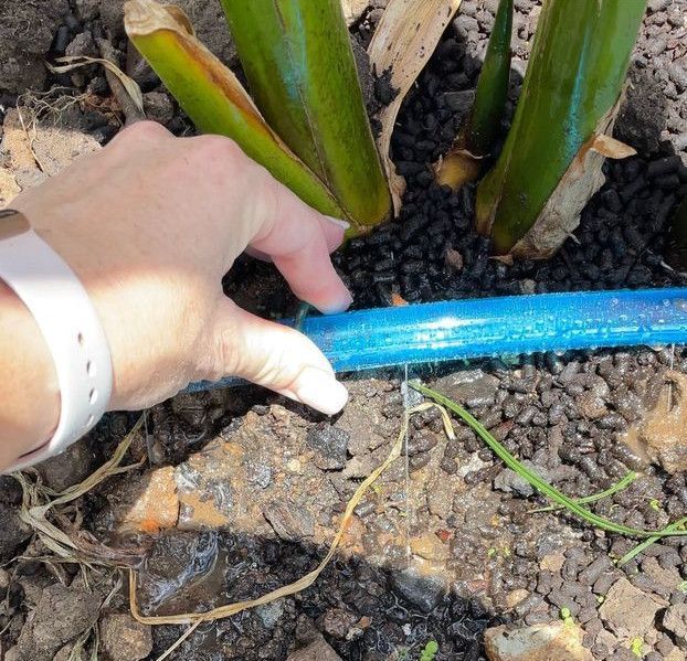 soaker_hose.jpg soaker_hose.jpg