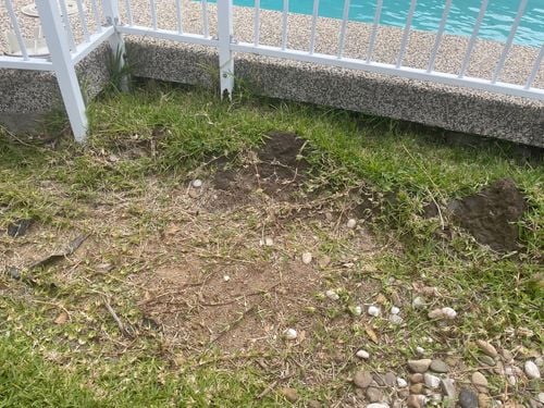 IMG_8492.jpeg IMG_8492.jpeg