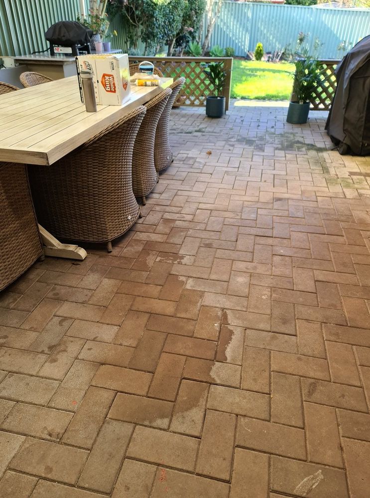 305476032_2642033972598050_2480715513923985339_n.jpg 305476032_2642033972598050_2480715513923985339_n.jpg