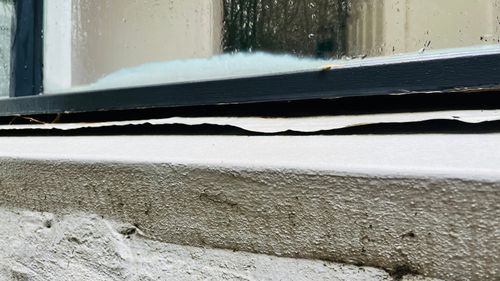 IMG_8129.jpeg IMG_8129.jpeg