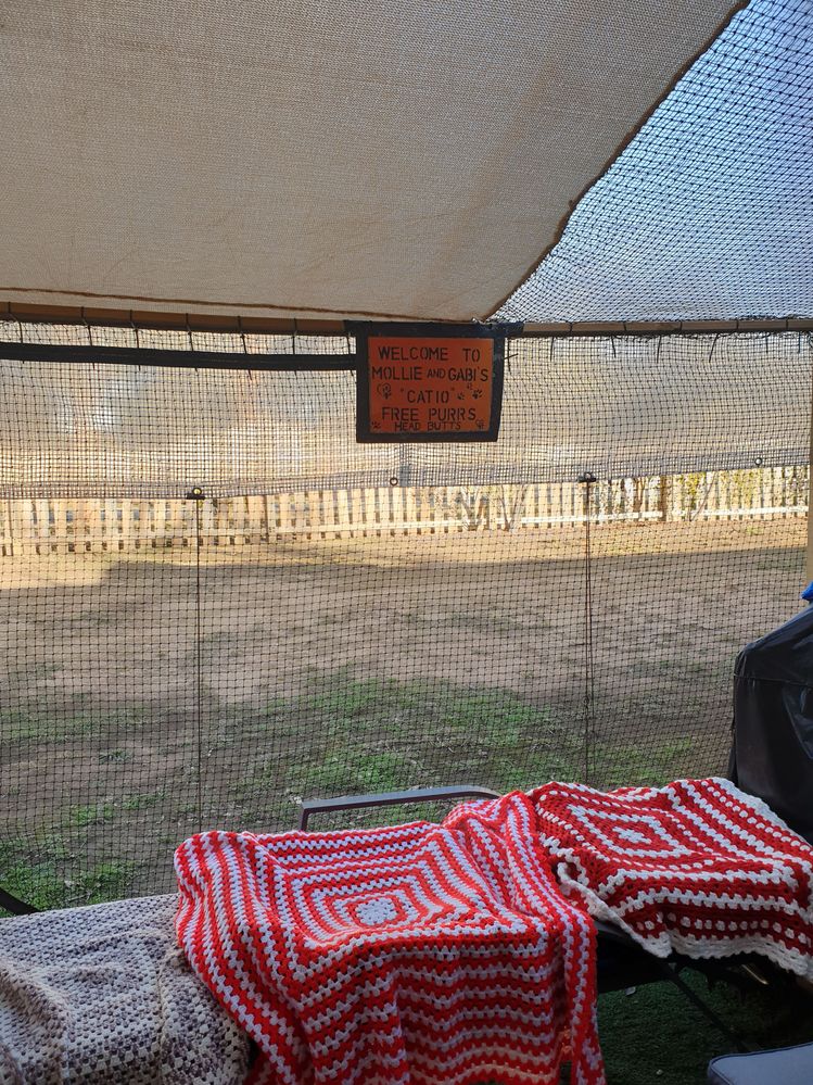 20190511_160107.jpg 20190511_160107.jpg