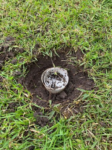 AEC95631-A262-447F-A92B-F961A3F484E7.jpeg AEC95631-A262-447F-A92B-F961A3F484E7.jpeg