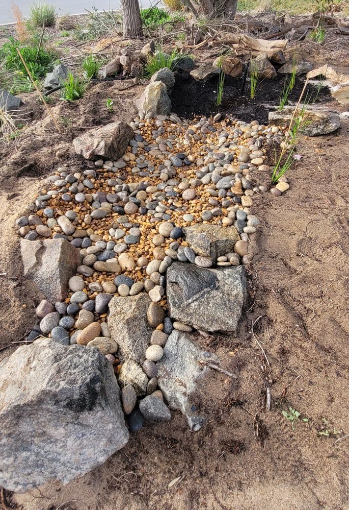 coverpic.jpg coverpic.jpg