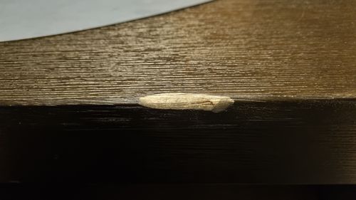 1000024004.jpg 1000024004.jpg