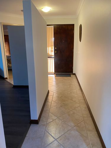 IMG_2447.jpeg IMG_2447.jpeg