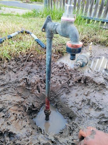 1000043012.jpg 1000043012.jpg