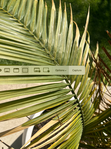 Murlun_2-1728538483522.png Murlun_2-1728538483522.png