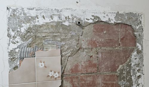 20241106_131328-cropped.jpg 20241106_131328-cropped.jpg