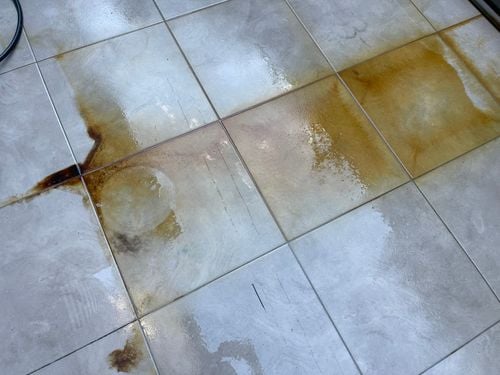 IMG_1592.jpeg IMG_1592.jpeg