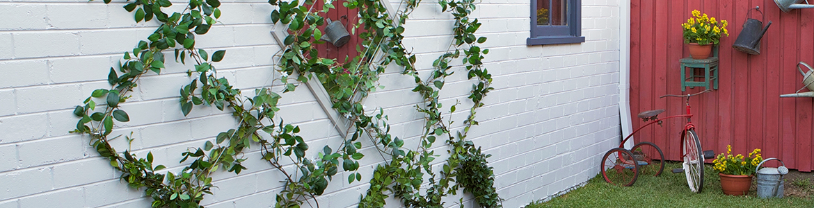 Hero 1.png Hero 1.png