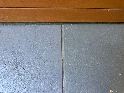 IMG_8984.jpeg IMG_8984.jpeg