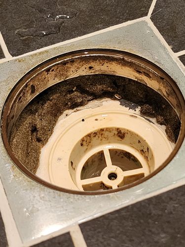 1000039722.jpg 1000039722.jpg